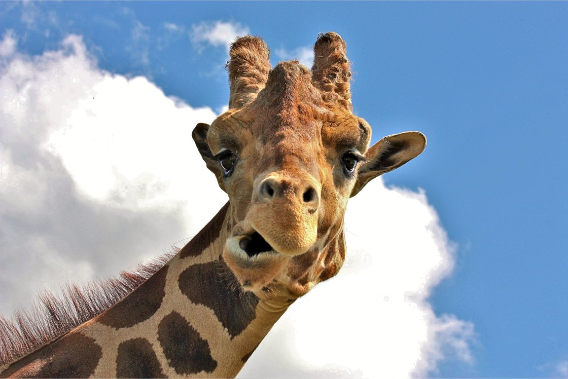 funny goal setting 1