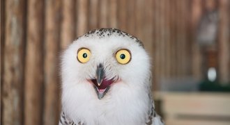 goal achievement tips 1