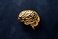Only your brain can make money